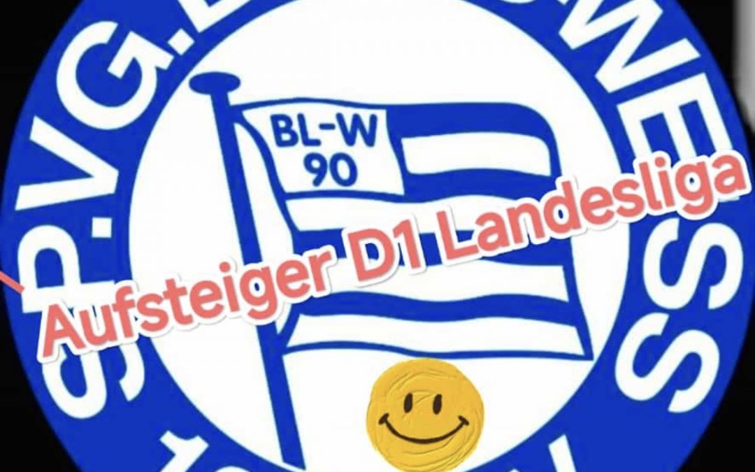 Nach Landesliga-Aufstieg : 1. D-Jugend sucht Verstärkungen!